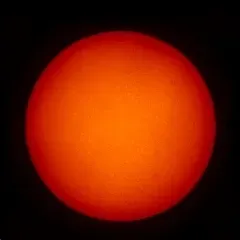 Срочное сообщение от Арины Никитиной