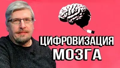 Цифровизация мозга