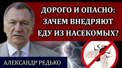Дорого и опасно: зачем внедряют еду из насекомых?