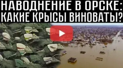 Наводнение в Орске: какие крысы виноваты
