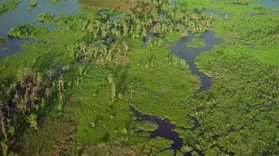 Ураган на Байу / IMAX - Hurricane on the Bayou (2006) BDRip 1080p