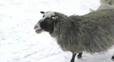 Знаете ли вы значение слов?