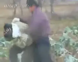 Китайские фермеры-оккупанты бьют русских на их же земле