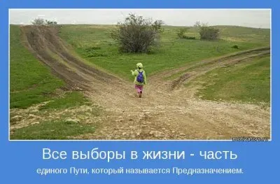Психология выбора