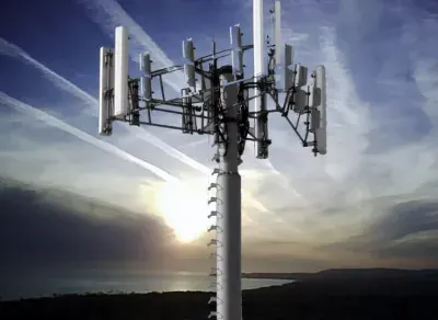 Сеть 5g уничтожает птиц