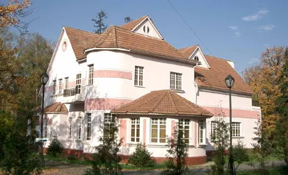 Музей Константина Васильева сгорел после угроз рейдеров