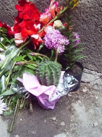 Полное разжижение мозга