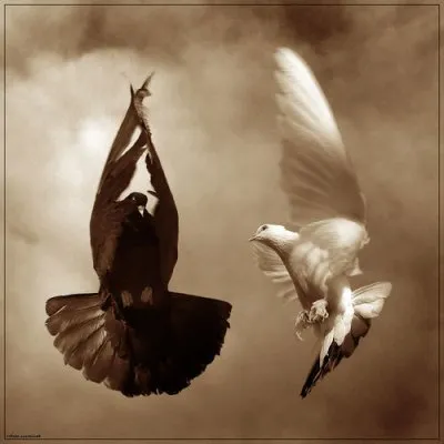 О ЧЕМ МОЛЧАТ РОССИЙСКИЕ СМИ