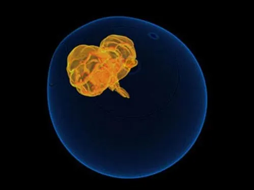 Ядерный троянец для контроля над Россией