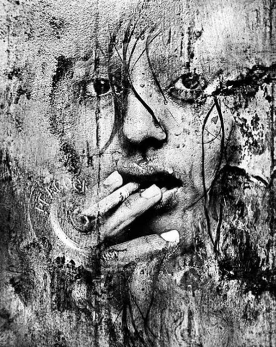 Роль эмоций в эволюции жизни