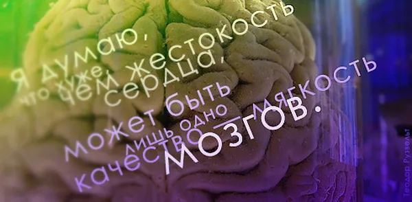 Идеологическая война - ответный удар