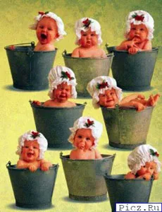 О корнях и листьях