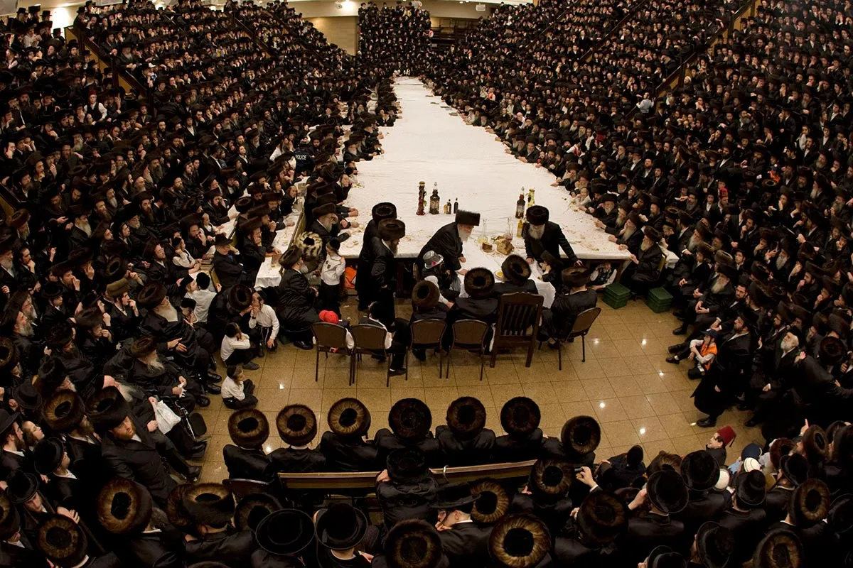 Приговорены к уничтожению мировым правительством