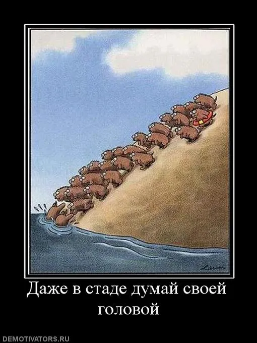 Информация к размышлению…