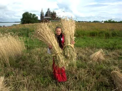 Сей то, что хочешь пожинать...