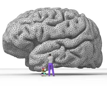 Грамотность изменяет структуру мозга