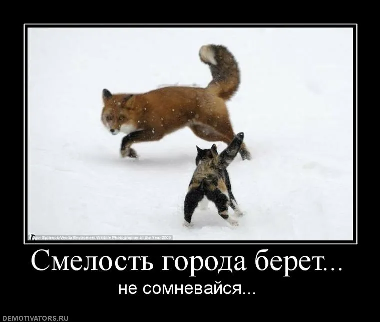 Русский образный язык: Смелость, как понятие в русском языке