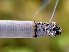 Скандал! Сигареты популярных марок кишат опасными бактериями