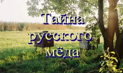 Профессор Жданов / Тайна русского мёда