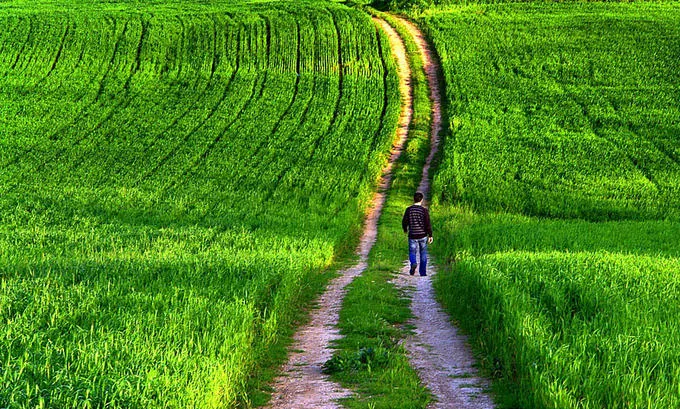 Эволюционное развитие человека. Цикл Ведические Знания.