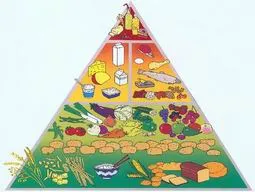 Лукавство диетологии и оптимизация потребления