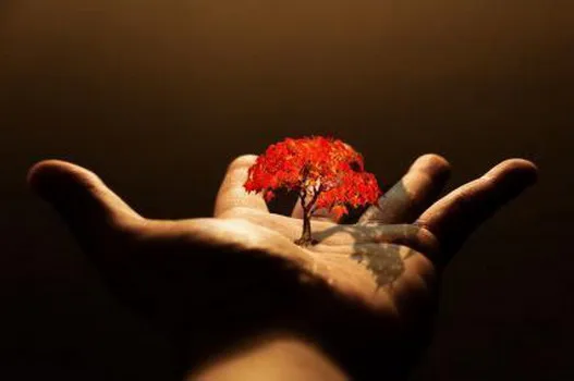 На свалке архетипов