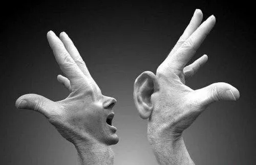 Еще раз о «разногласиях».