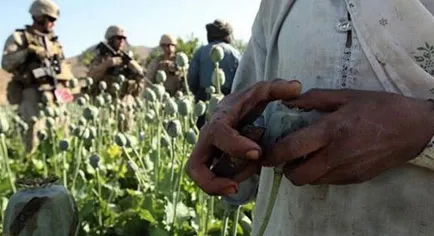 Россия обвинила США в героиновой атаке