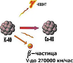 Невежество — искренность равнодушия 2