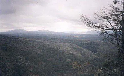 На всякий "пожарный"