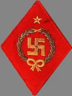 Свастику на эмблеме командира Красной армии прокуратура признала символом нацизма