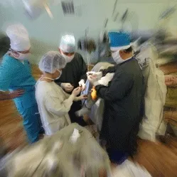 Практический геноцид