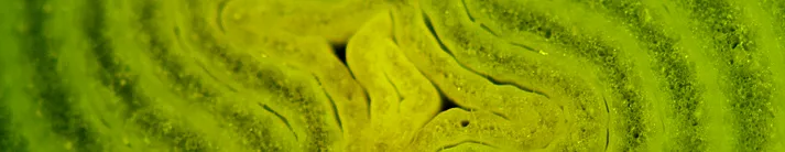 Принципы исцеления организма. Часть 1