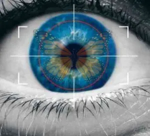 Что общего между бабочкой монарх и тотальным контролем сознания? MK-Ultra Monarch. Сделано в США