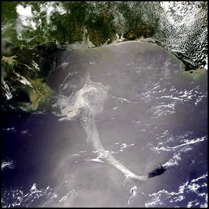 Крупнейшая экологическая катастрофа