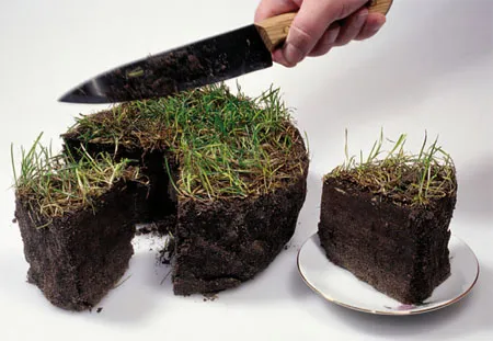 Есть ли земля в России