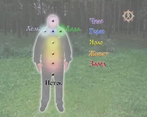 Практический семинар СЛАВЯНСКАЯ ЗДРАВА