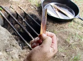 Съедобная сосновая кора