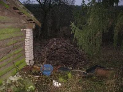 ЗдравомышлЯтина на “Новой Земле”.
