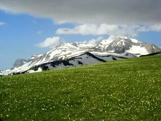 МЕЖДУНАРОДНАЯ ЭКОЛОГИЧЕСКАЯ КОНФЕРЕНЦИЯ "ЧЕЛОВЕК И ПРИРОДА"