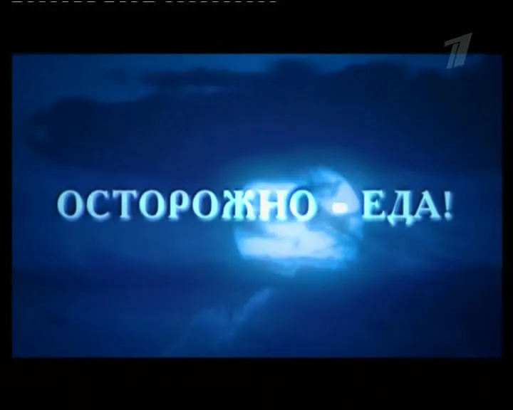 Осторожно - еда! (2008/SATRip)