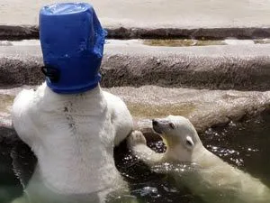 Жара в России - результат испытания климатического оружия в США?