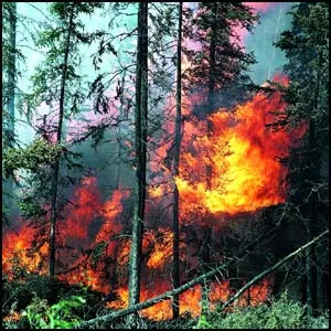 Враги поджигают Россию