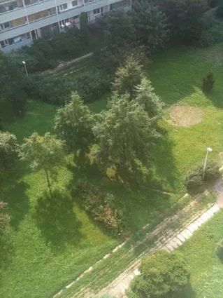 Он Вас слышит, но нет, его географически в России, НЕТ!