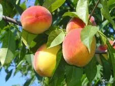 Всё ещё жарко?