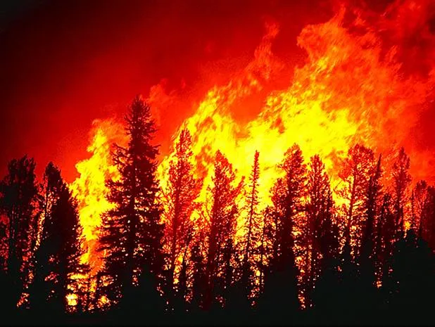 Климатический удар: Россия и Китай под прицелом США?