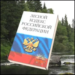 Россию поджигают чиновники