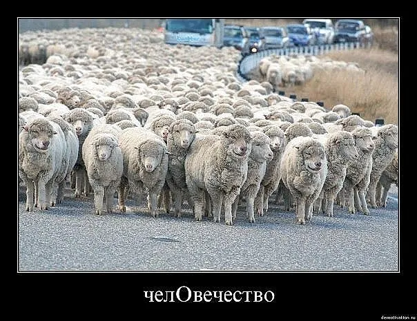 Славянские Демотиваторы Часть 5