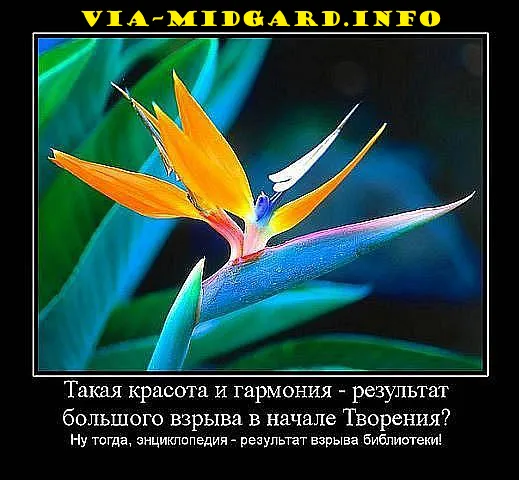 Славянские Демотиваторы Часть 5