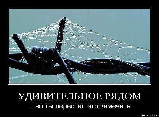 Славянские Демотиваторы Часть 5